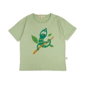 Red Caribou Soft Green Chameleon Tee | Size 2–3Y | Worn Once